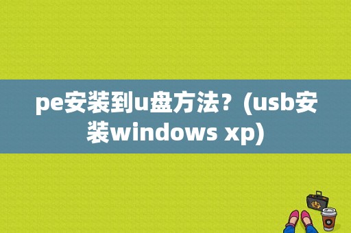 pe安装到u盘方法？(usb安装windows xp)