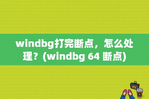 windbg打完断点，怎么处理？(windbg 64 断点)