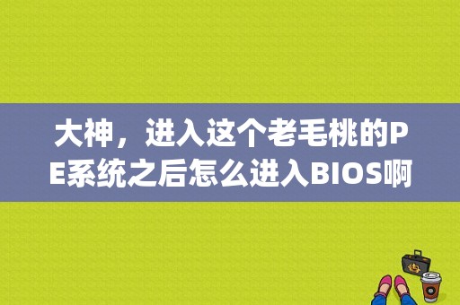 大神，进入这个老毛桃的PE系统之后怎么进入BIOS啊?我想设置成硬盘启动？老毛桃winpe如何修改启动画面-图1