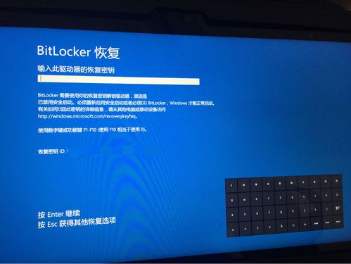 win10开机一直停留在戴尔log处，无限循环，怎么办啊。急急急？(winlogon)