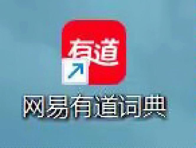 有道词典的用法？(有道词典 windows8)-图3