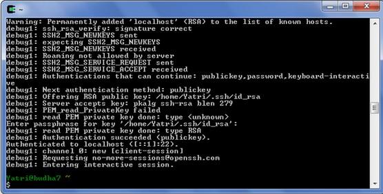 ssh远程登录的指令？(cygwin terminal ssh)