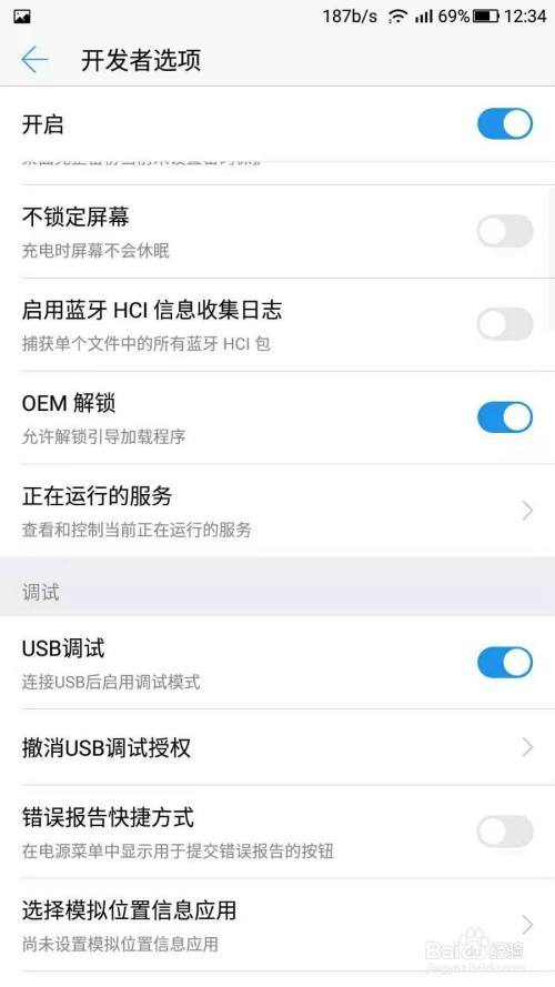 安卓10开发者选项？(win10手机应用开发)
