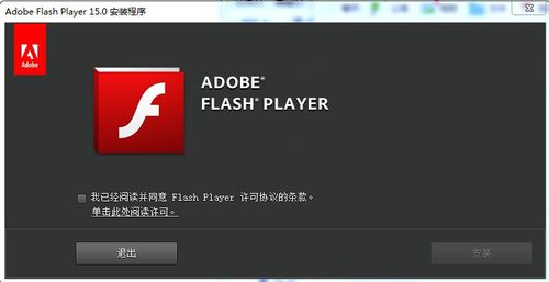 怎么打开flash player进行设置？(win8的flash player在哪里)-图2