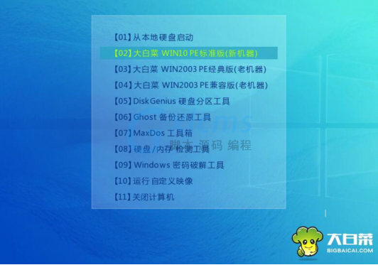 戴尔inspiron11怎么装系统？(用大白菜怎么装win8)-图3