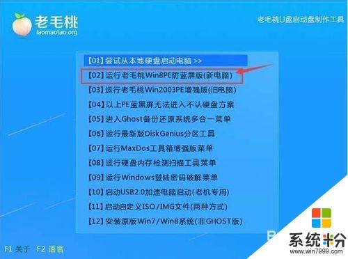 老毛桃可以破解win7的系统密码吗？(老毛桃 win8.1)-图2