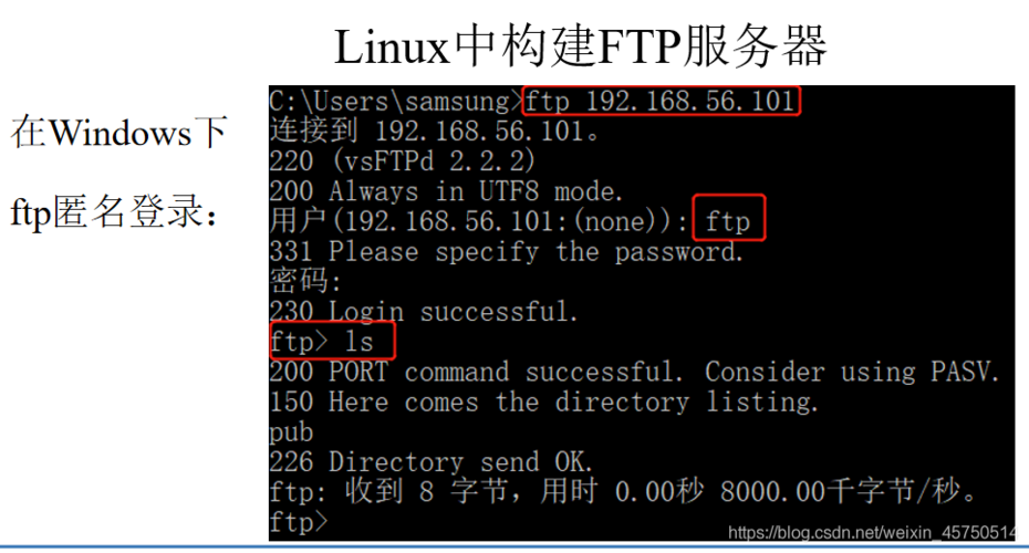 FTP结构特点？(linux window ftp)-图3