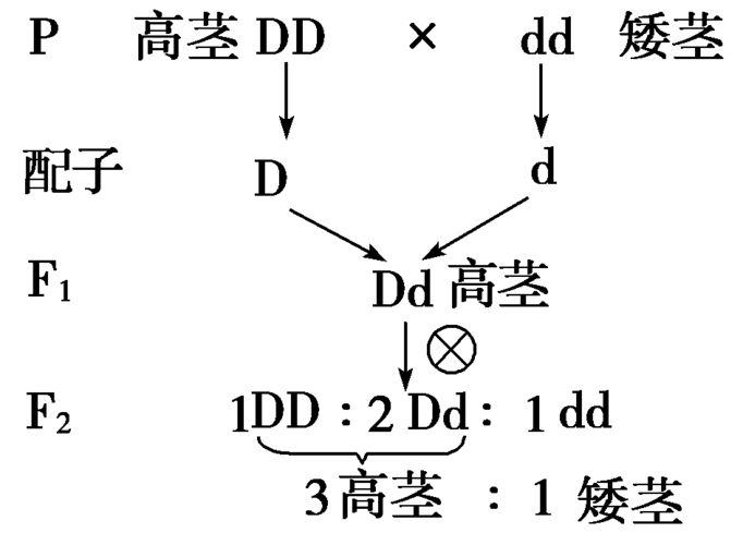 四核苷酸假说是谁提出来的？(erwin数据模型)