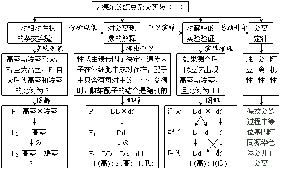 四核苷酸假说是谁提出来的？(erwin数据模型)-图2