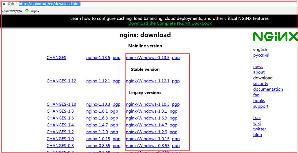 nginx配置https详解？windows nginx ssl-图3