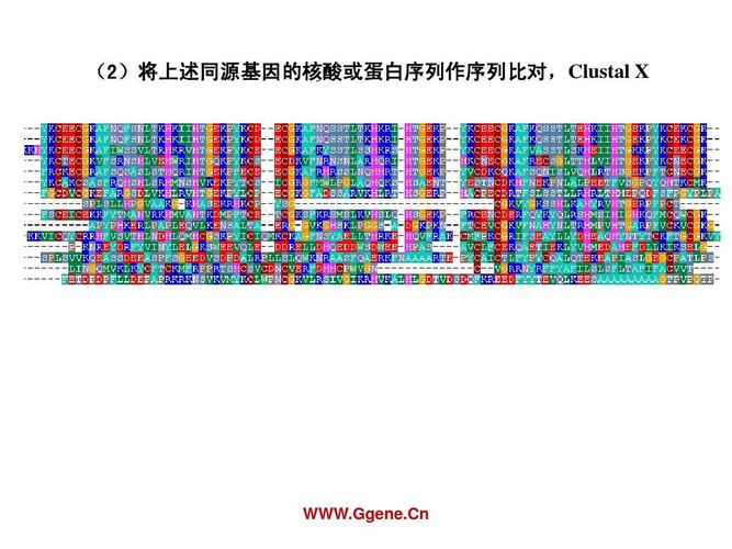 已知蛋白序列怎么查找基因名称windows 查看hba卡