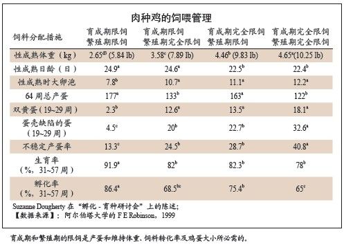 10 请问肉鸡是什么意思！是网络术语吗？win8肉鸡-图1