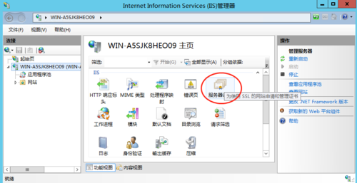 什么是支持ssl的web服务器？windows ssl nginx-图2