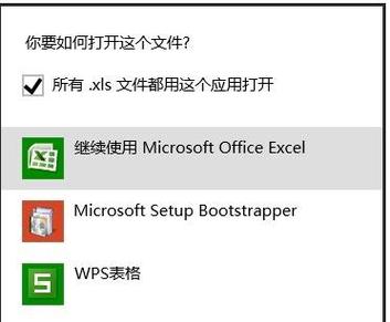 如何把EXCEL设置为默认打开方式 而不是WPS？win8怎么设置默认打开方式-图3