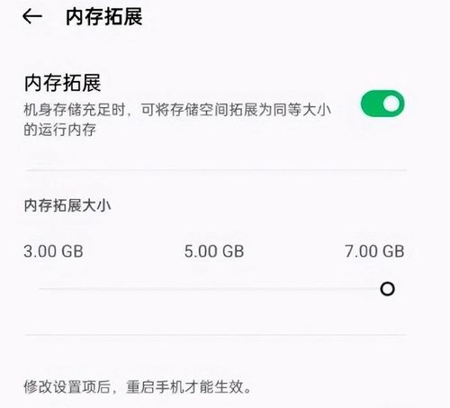 opporeno8支持内存扩展吗？win8.1最大内存-图3