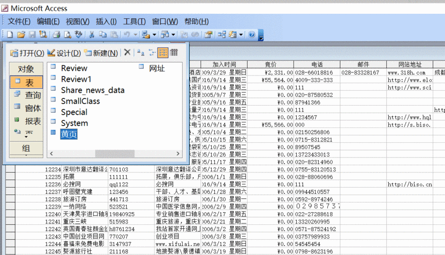 access查询出生于2003年的怎么写？access2003 win7 32-图3