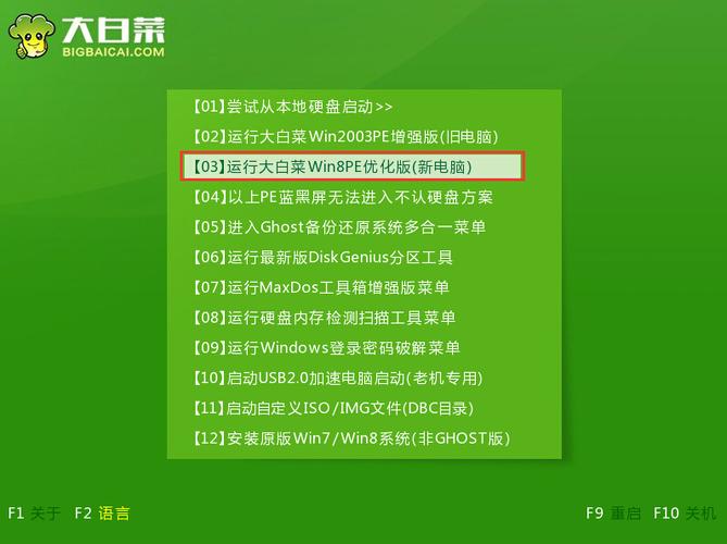 大白菜u盘装系统进入win8pe卡主了，只有win8那个图标显示出来，一直进不去？新买的电脑win8卡怎么办