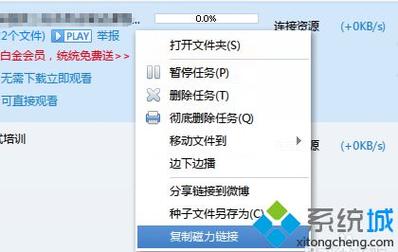 bt不能用是怎么回事？win8如何下载种子-图3