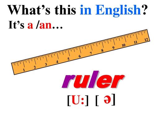 人教版七年级英语重点单词？window ruler-图1