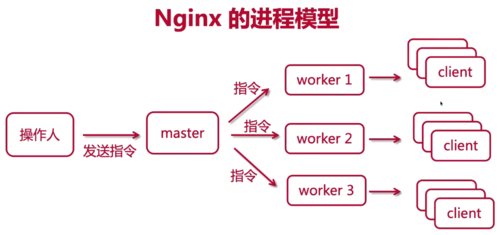 nginx和apache的区别？apache windows 多进程-图2