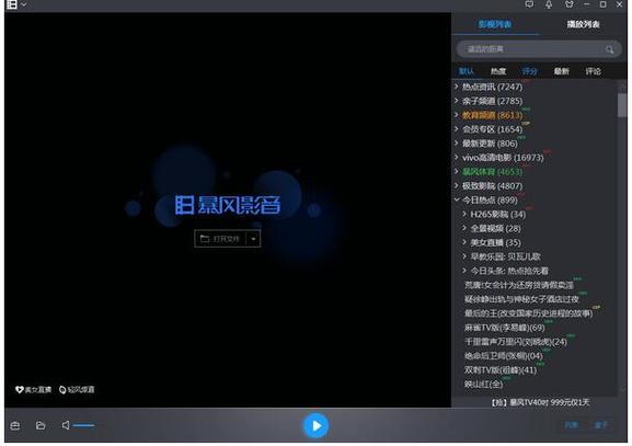 什么格式的电影可以用暴风影音看？win8 rt mkv-图3