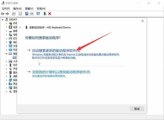 win10键盘和虚拟键盘打不出字怎么回事？win8打不出汉字-图3