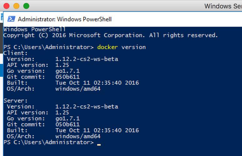 可以在docker容器里跑windows么？docker windows