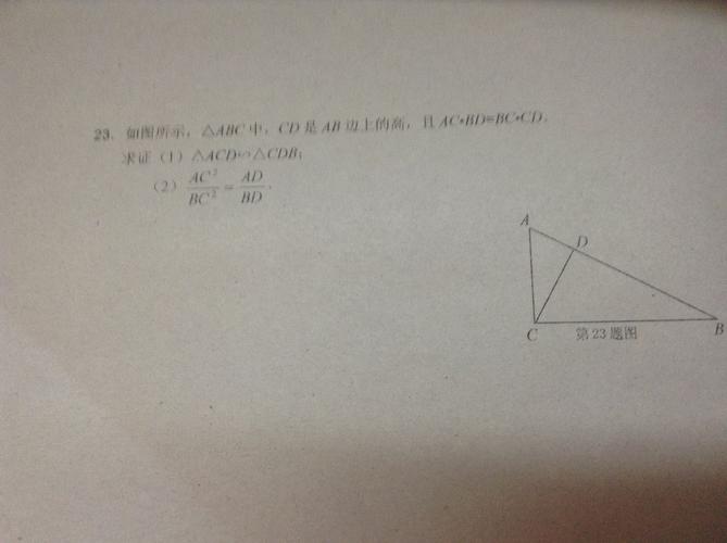 在rt△ABC中,∠ACB=90°,∠A=30°,CD是AB边上的中线,DE⊥BC与.P是线段CB上一点,连接DP,将线段DP绕点D逆时？winrt pdf