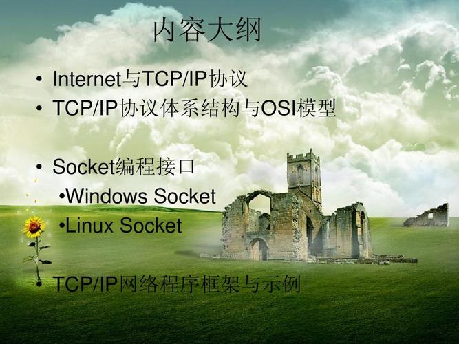 tcp协议为什么要先服务端？windows tcp 服务端