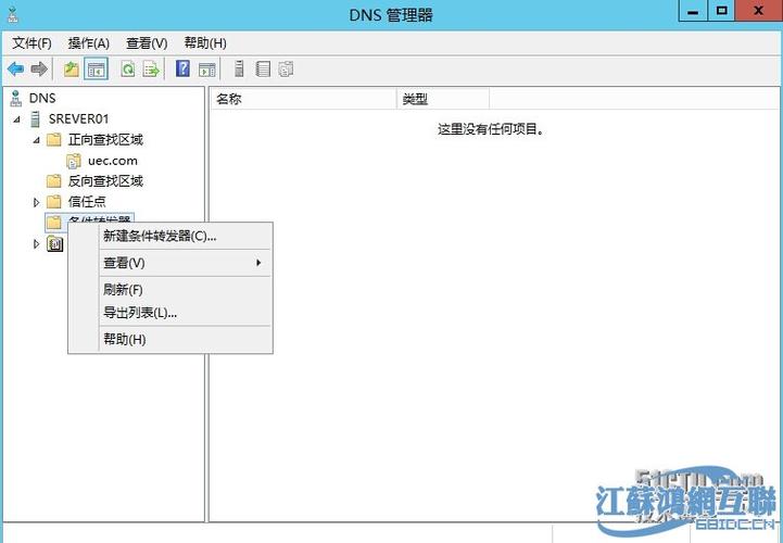 怎么做转发服务器？windows 2008 dns 转发-图3