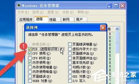 xp任务管理器有一个进程叫exp什么？windows xp任务管理器增强版