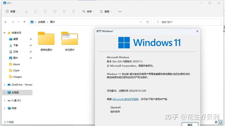 为什么win11桌面只能新建文件夹？win8.1只能新建文件夹-图2