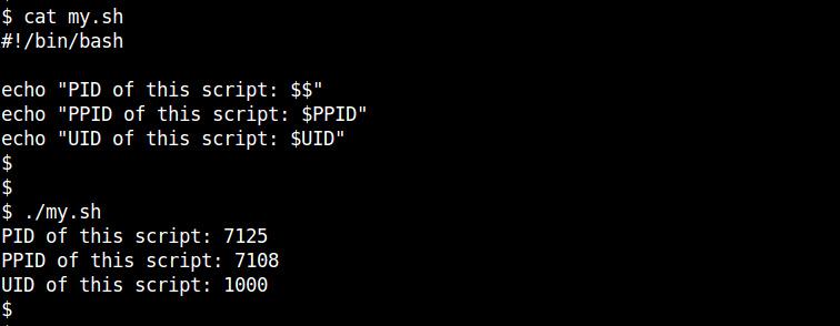 linux中哪个内置变量表示当前进程的pid？win pid 进程名