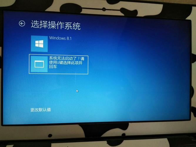 电脑开机后显示OEMSF,我按F8之后显示出这个，然后该怎么操作？联想oem win8.1中文版-图3