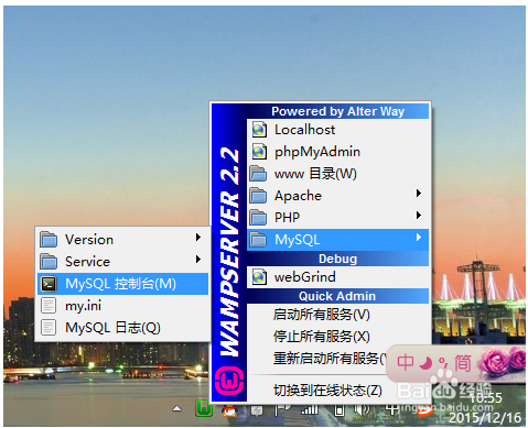 WampServer下如何用Windows域管理数据库和wiki？win 2008 wampserver-图3