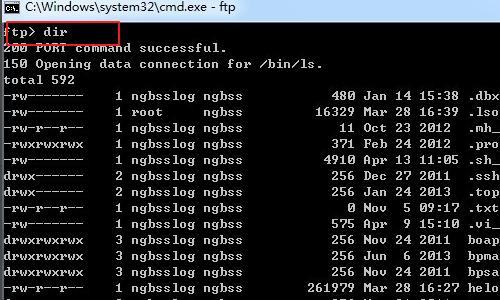 windows命令行怎么使用ftp？（windows cmd ftp命令）-图3