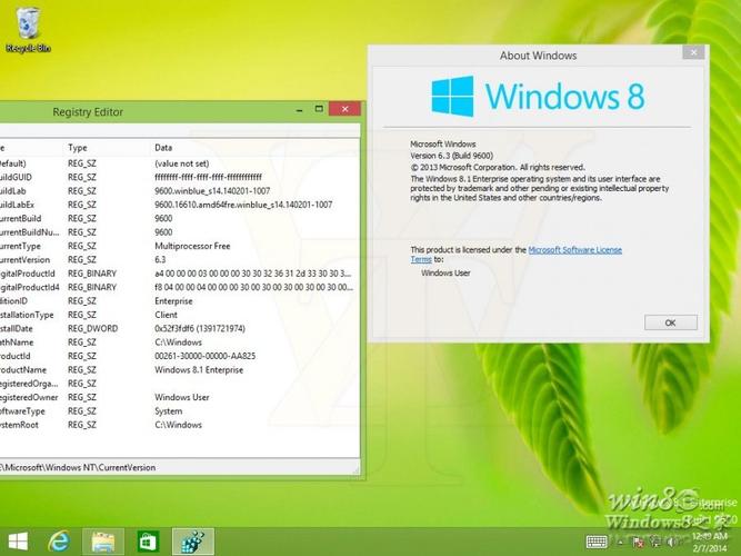 winzip怎么用？（windows pe 8.1）-图3