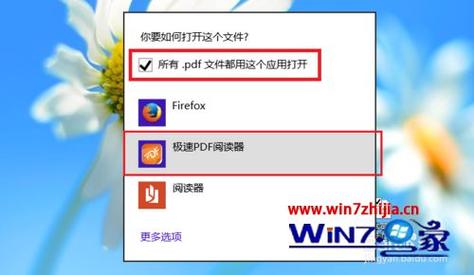 pdf”下载后打不开。问如何可以打开看？（win8系统pdf阅读器下载）