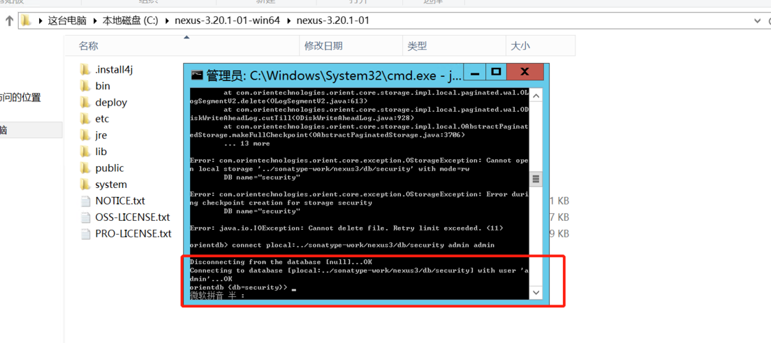 hls系统是什么意思？（windows rtp）-图2