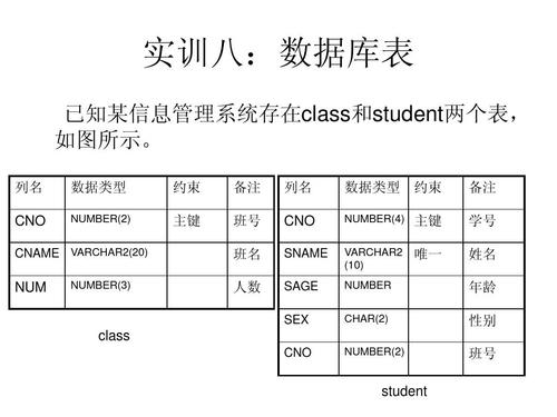 常用的数据库有哪些？（数据库有哪些）