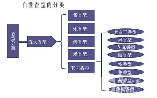 白酒曲香和浓香的区别？（浓香型白酒有哪些）-图2