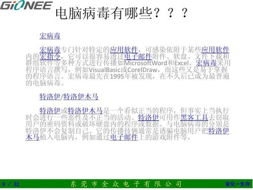 电脑常见的病毒是什么？（计算机病毒有哪些）-图2