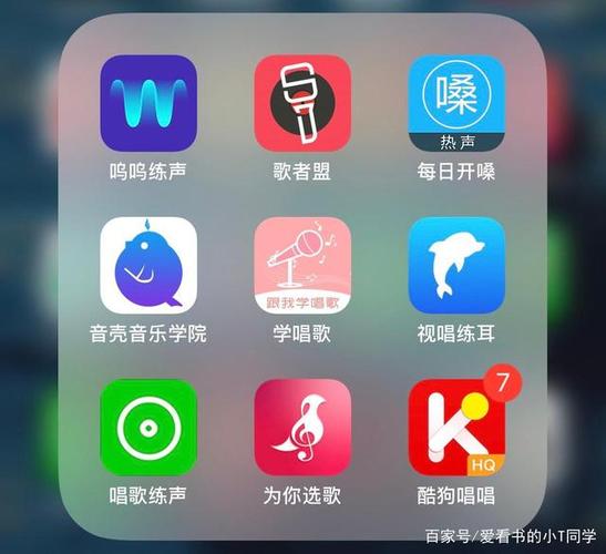 唱歌app排行榜？（唱歌的app有哪些）-图2