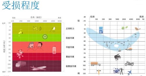 低频和高频如何区分？（高频声音有哪些）