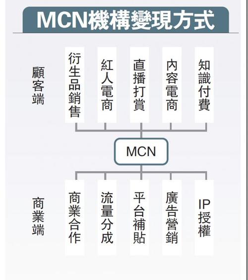 中国十大mcn机构？（mcn机构有哪些）-图3