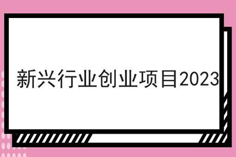 2023年新兴行业创业项目有哪些？（创业有哪些）