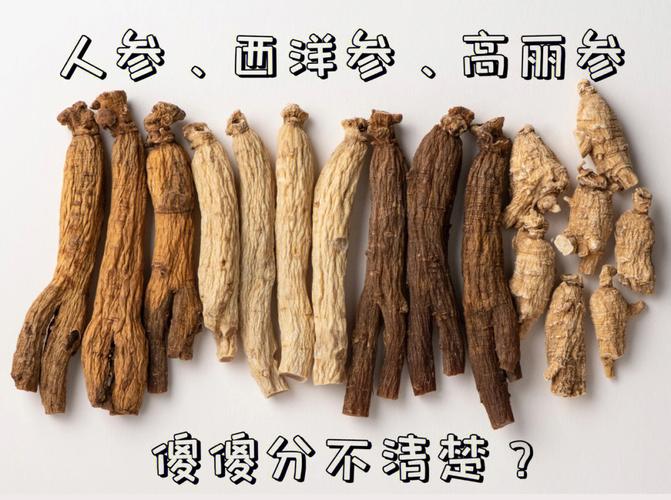 参的种类有哪些？（参有哪些）