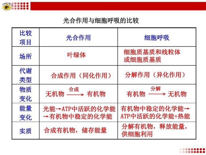 结构上和内容上的作用有什么区别？（内容作用有哪些）-图2