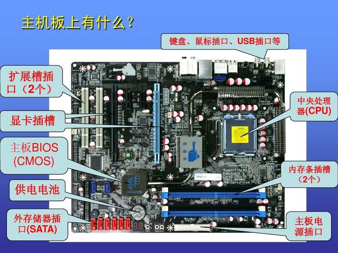 计算机的硬件包括哪些？（计算机的硬件有哪些）-图2