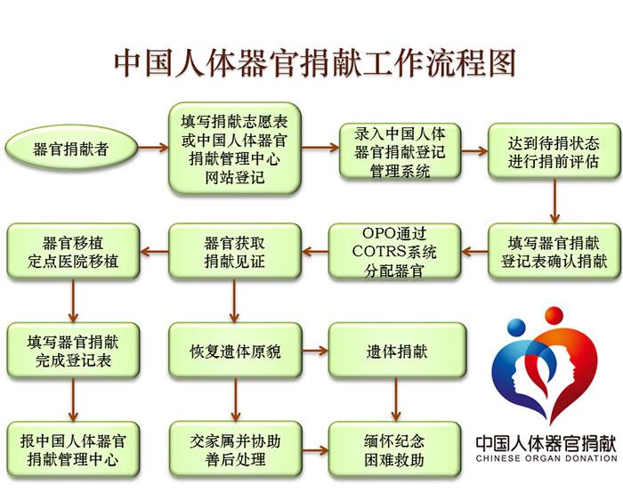 捐献器官合法的国家？（哪些器官可以移植）-图1